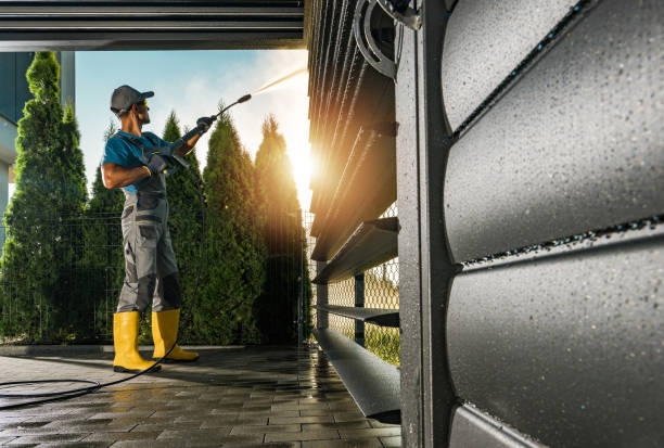 Best Driveway Pressure Washing  in Medpolis, IA